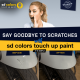 Clear Lacquer Touch Up 20ml - Fast-Drying 1K Clear Coat